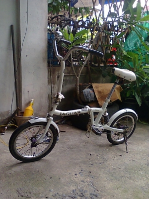 ขาย JAGUAR  พับ 2ท่อน 2900 0806260417