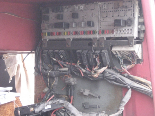 ขายคัสซีสแกนเนีย k124