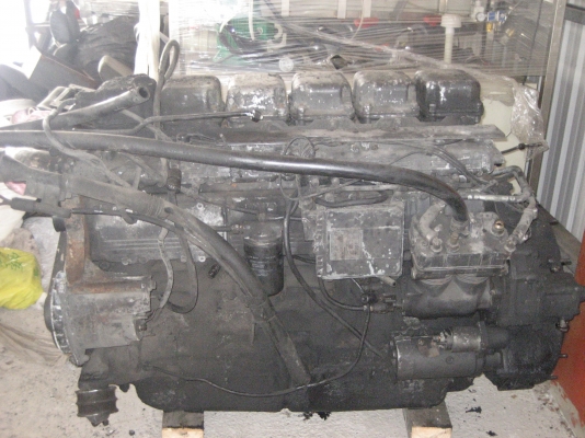 ขายคัสซีสแกนเนีย k124