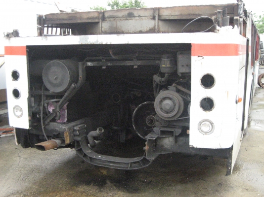 ขายคัสซีสแกนเนีย k124