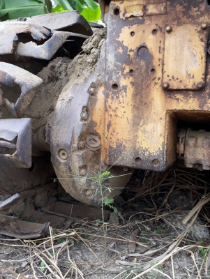 ขายแทรคเตอร์ CAT.D5B รถสภาพพร้อมใช้งานไม่มีเอกสารราคา 420,000