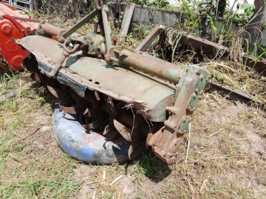 โลตาลี่