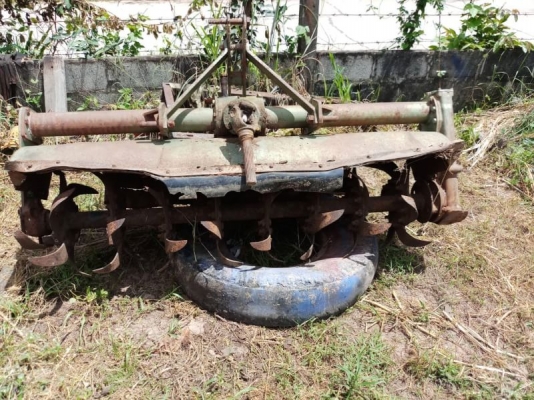 โลตาลี่