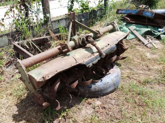 โลตาลี่