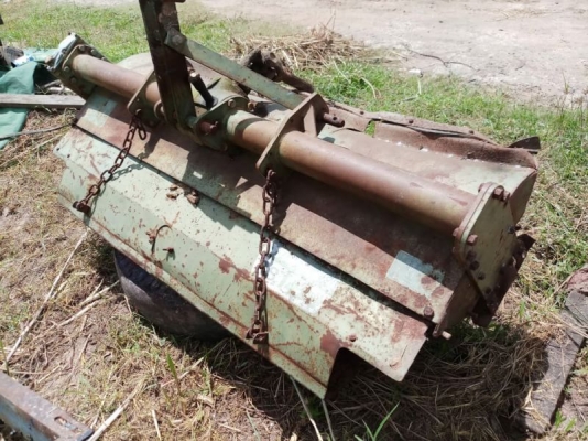 โลตาลี่