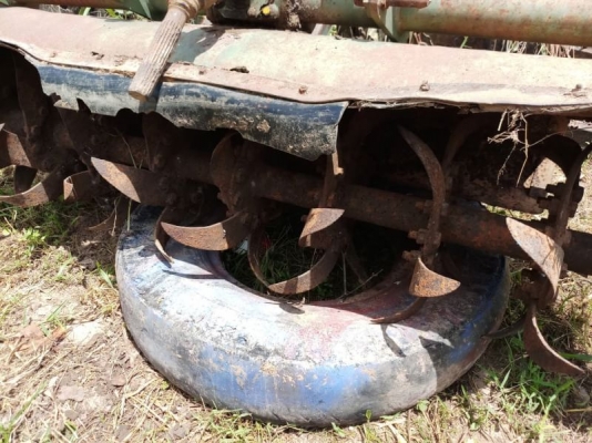 โลตาลี่