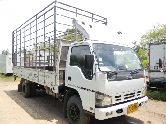 6 ล้อกลาง *EURO.2* ISUZU NQR 175 แรงม้า *คอมมอนเรว * ยาว 5.50ม.* รถสวยเดิมทั้งคัน *รถห้างแท้ * (มีเล