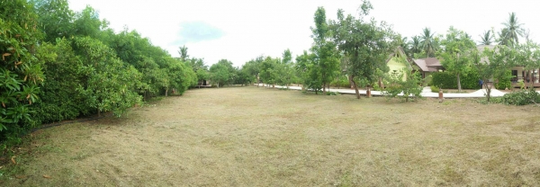 ขายหรือให้เช่าดำเนินกิจการต่อ ที่ดินพร้อมสิ่งปลูกสร้าง รีสอร์ท ริมน้ำ อัมพวา ขายหรือให้เช่าดำเนินกิจการต่อ ที่ดินพร้อมสิ่งปลูกสร้าง รีสอร์ท ริมน้ำ อัมพวา