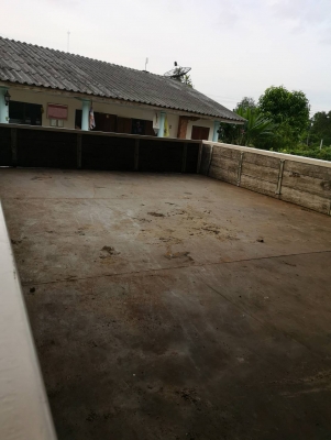 ขาย NPR 150 แรง ปี 53  ((CNG )) ยาว 5 ม. รถสวยๆ พร้อมใช้งาน  ราคา 520,000 บาท