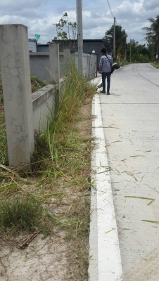 ให้เช่าที่ดิน 150 ตรว.