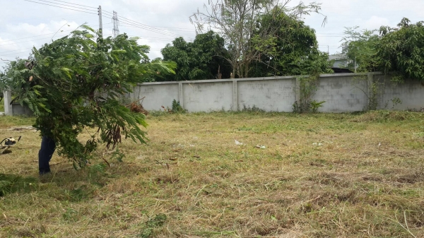 ให้เช่าที่ดิน 150 ตรว.