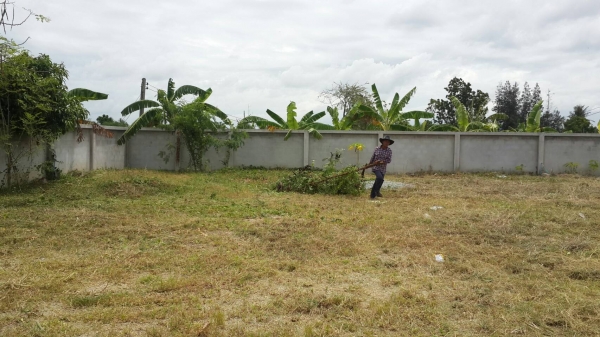 ให้เช่าที่ดิน 150 ตรว.