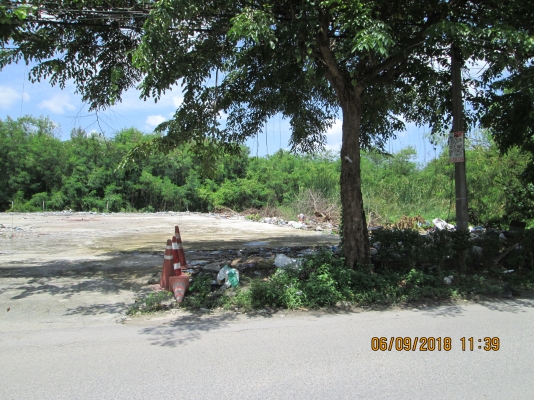 ขออนุญาต ให้เช่าที่ดิน ชอยลาดพร้าว 71 แยกโลตัสโรงไม้เก่า ขออนุญาต ให้เช่าที่ดิน ชอยลาดพร้าว 71 แยกโลตัสโรงไม้เก่า