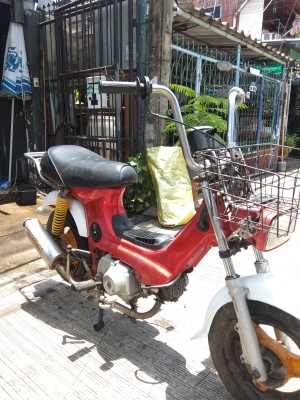 ขายชาลี