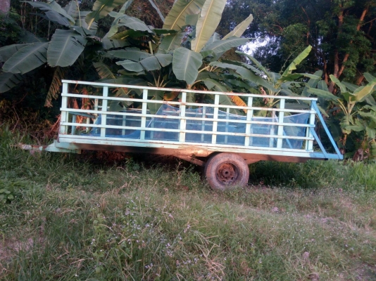 ขาย สะลี่ลากอ้อย