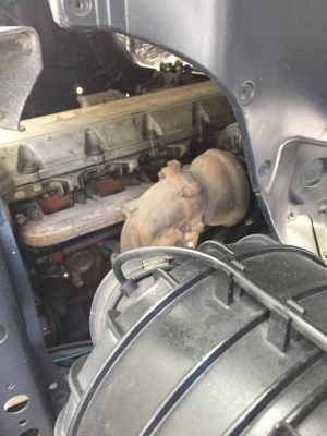 ขายสิบล้อดั้ม Hino Meca 260 ปี54 ทำมาใหม่ครับ สวยทั้งคัน พร้อมใช้