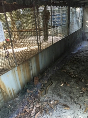 #ตาข่ายเอ็นใส&mdash;สูง 1 เมตร วางล้อมกันงู