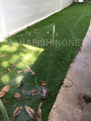 #ตาข่ายเอ็นใส&mdash;สูง 1 เมตร วางล้อมกันงู