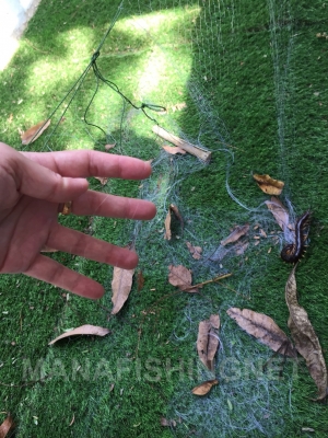 #ตาข่ายเอ็นใส&mdash;สูง 1 เมตร วางล้อมกันงู