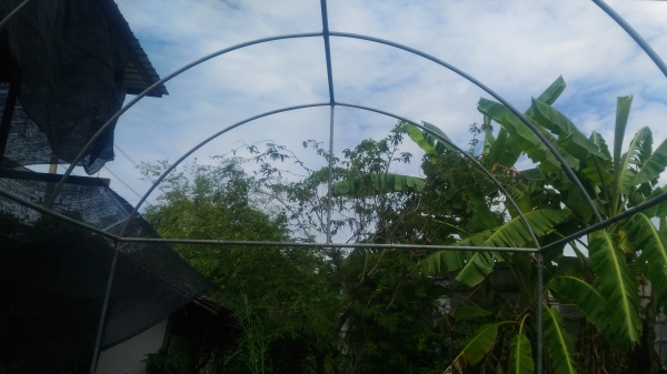 ขายเต้นท์ผ้าใบ