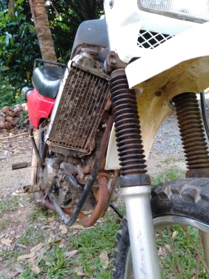 MTX  เครื่องโซนิค  มีเล่มทะเบียนโครง (ราคาลดได้)