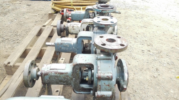 หัวปั้มน้ำญี่ปุ่นใบทองเหลือง EBARA JAPAN หัวปั้มน้ำหอยโข่งใบพัดทองเหลือง หัวปั้มน้ำญี่ปุ่นใบทองเหลือง EBARA JAPAN หัวปั้มน้ำหอยโข่งใบพัดทองเหลือง