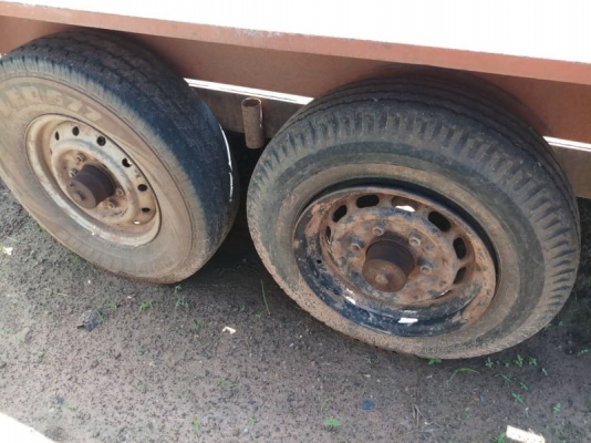 สาลี่ลากรถเกี่ยวข้าว