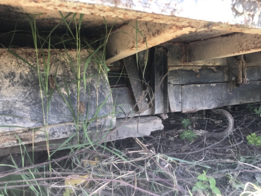 ขายด่วน ชุดดั้มใส่ kt725 มีคัสซี และชุดกะบอกดั้มพร้อม ขาย 35000 บาท