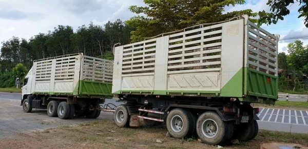 ขายรถบรรทุก 22 ล้อพ่วงแม่ลูกดัมพ์ HINO MEGA 344 แรงม้าปี 2556 จัดไฟแนนซ์ได้ 2300000 ราคา 2650000 ขายรถบรรทุก 22 ล้อพ่วงแม่ลูกดัมพ์ HINO MEGA 344 แรงม้าปี 2556 จัดไฟแนนซ์ได้ 2300000 ราคา 2650000