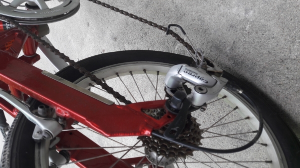 จักรยานขาไก่