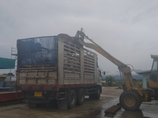 ขายรถตัก Komatsu WA85 ขายรถตัก Komatsu WA85