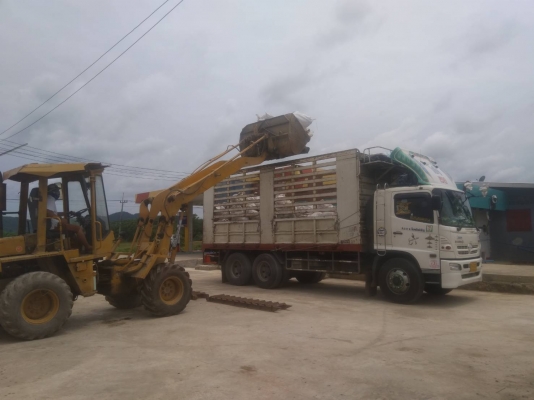 ขายรถตัก Komatsu WA85 ขายรถตัก Komatsu WA85