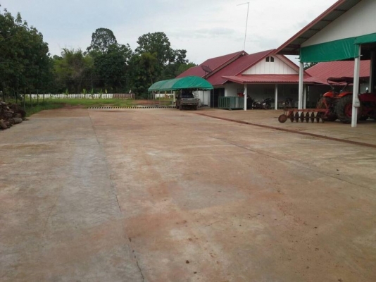 ขายบ้านพร้อมที่ดินและสวนยาง มีโรงอบยางและโรงเรือน มีโฉนด