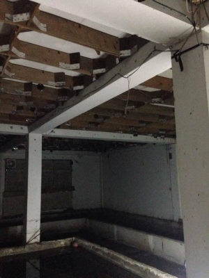 ขาย 7.5 ล้าน ตึกนกนางแอ่น  2 คูหา 4ชั้น ครึ่ง &amp; รังนก นะครับ เดือนนี้ เก็บได้ ยอดรวม 400 กว่ารัง นกเยอะมากครับ  พิกัด อยุ่ ถ. สุขุมวิท จ. ระยอง  090-772-3710 090-772-3708