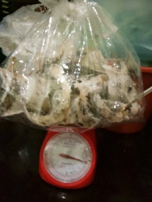 ขาย 7.5 ล้าน ตึกนกนางแอ่น  2 คูหา 4ชั้น ครึ่ง &amp; รังนก นะครับ เดือนนี้ เก็บได้ ยอดรวม 400 กว่ารัง นกเยอะมากครับ  พิกัด อยุ่ ถ. สุขุมวิท จ. ระยอง  090-772-3710 090-772-3708