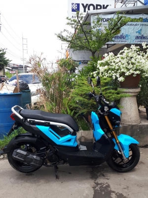 โฉมปัจจุบันล่าสุด New Zoomer X เรือนไมล์ดิจิตอล สีน้ำเงินดำ ปี 2559 รถสวยนางฟ้ามากๆ