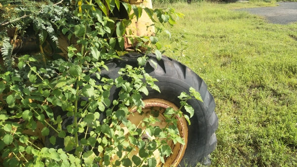 ขายทำอะไหล่ cat 12f