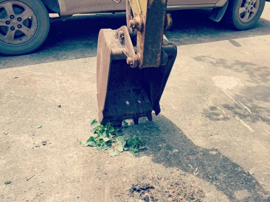 รถเก่านอก YANMAR ขนาดเท่าPC 25 ราคา 95000