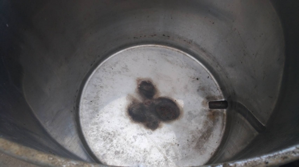 ถังสเตนเหรดแท้หนาใบใหญ่