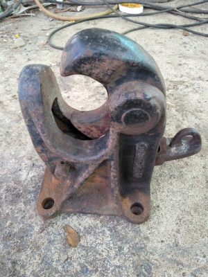 ปากนกแก้วของแท้ตัวใหญ่