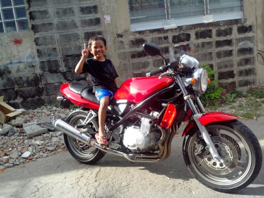 ขายแบนดิส  ทะเบียน สวยๆๆ