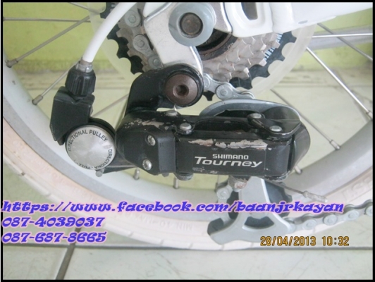 TOMMY GIRLS BY DAHON สวยมากกกก