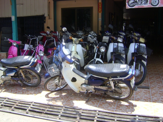 ขายดรีม100 คุรุสภาถูกๆ ขายดรีม100 คุรุสภาถูกๆ