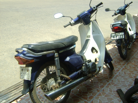 ขายดรีม100 คุรุสภาถูกๆ ขายดรีม100 คุรุสภาถูกๆ