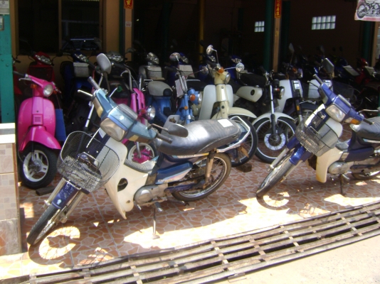 ขายดรีม100 คุรุสภาถูกๆ ขายดรีม100 คุรุสภาถูกๆ