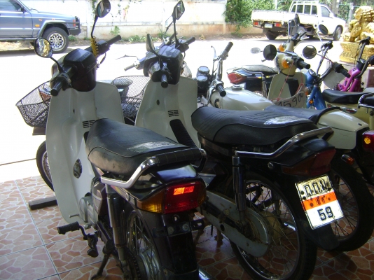 ขายดรีม100 คุรุสภาถูกๆ