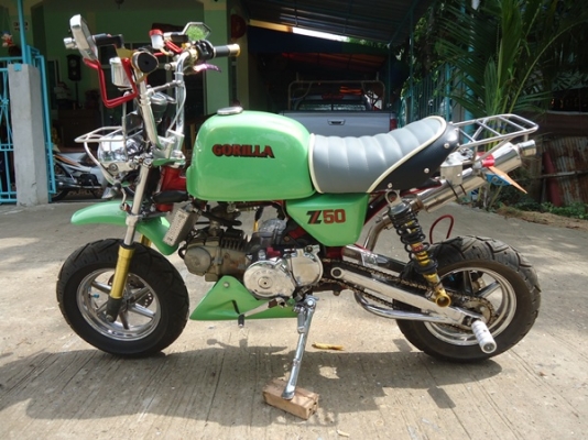 ขายกอลิล่า ญี่ปุ่น สภาพประกวด ราคา 33000 ต่อลองได้ ด่วน