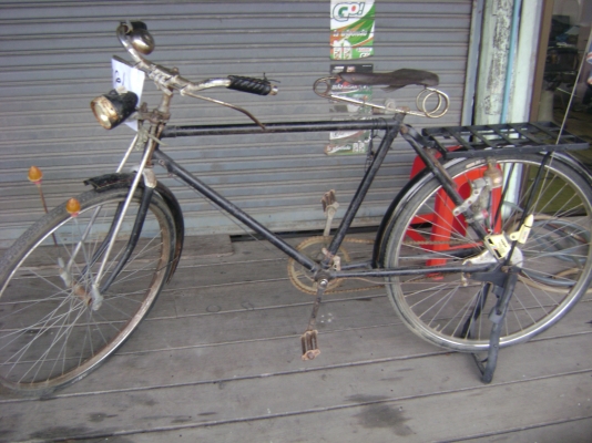 ขาย จักรยานสแตนดาร์ท 50ปี