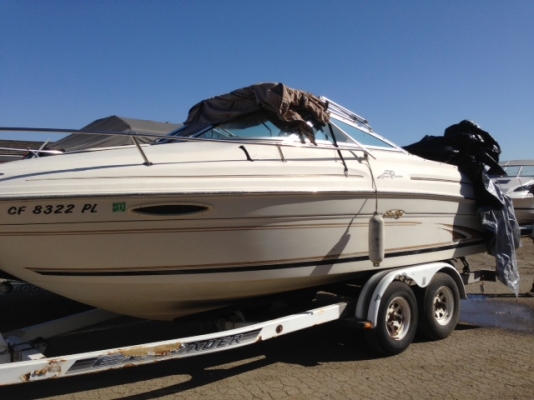 เรือ Searay 215