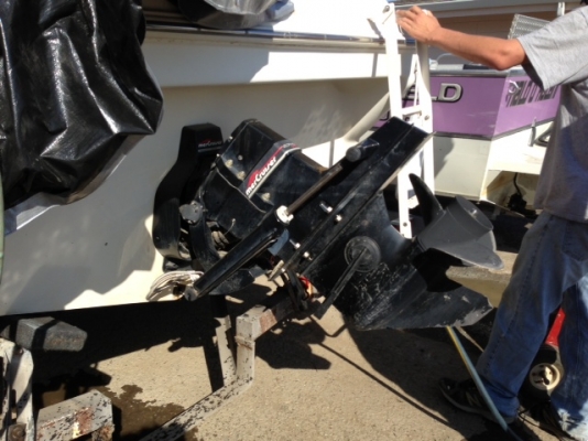 เรือ Searay 215